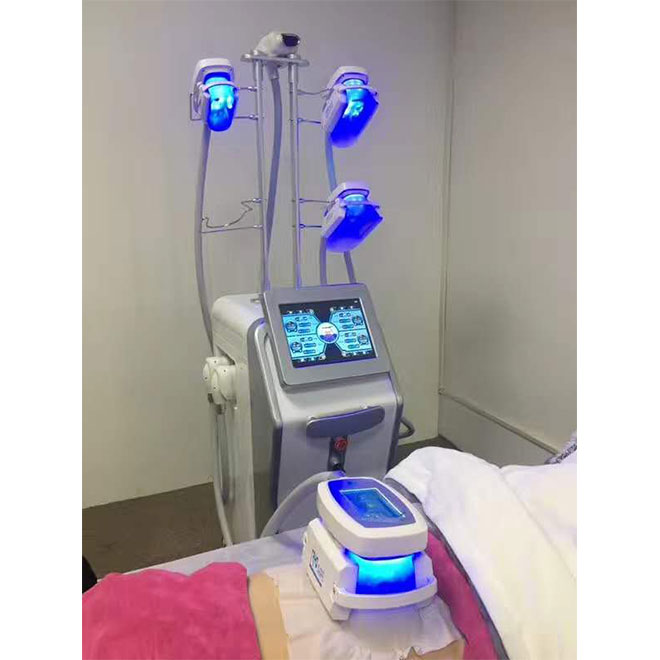 Máquina de sistema de contorno corporal de criolipólisis MSLCY13 5S-5