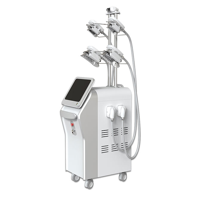 Máquina de sistema de contorno corporal de criolipólisis MSLCY13 5S-1