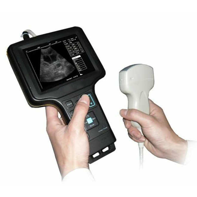 Máquina de ultrasonido portátil veterinaria MSLVU31