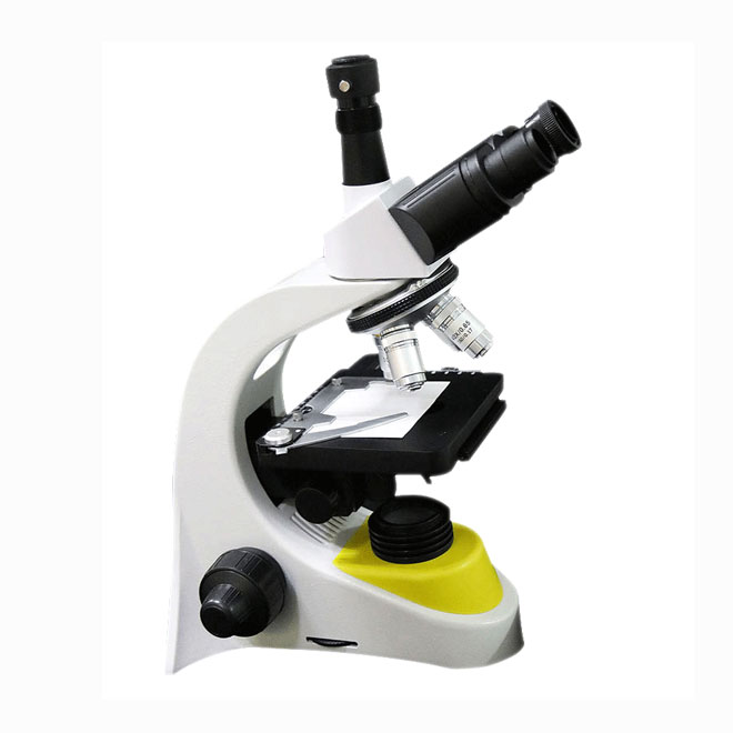 MSL3706A Analizador de calidad de espermatozoides-1