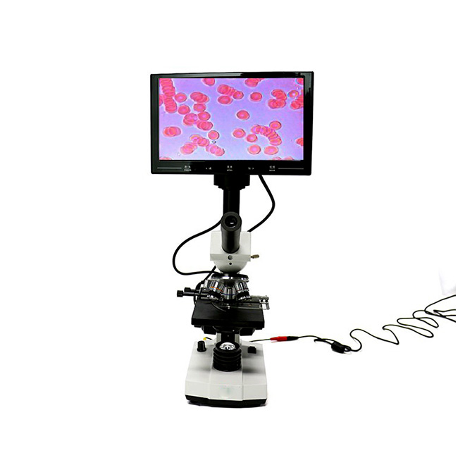 Microscopio de análisis de sangre MSLYZ11-3